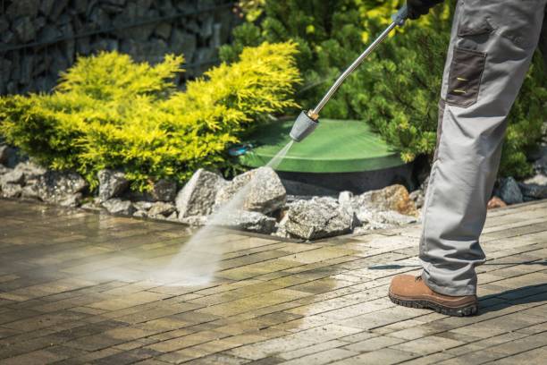 Best Roof Washing  in Reading, MI