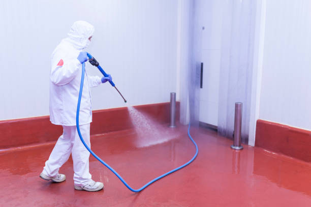Best Building Exterior Washing  in Reading, MI