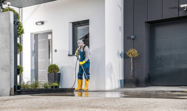 Best Spring Cleaning  in Reading, MI